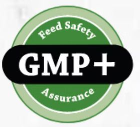 GMP Certification